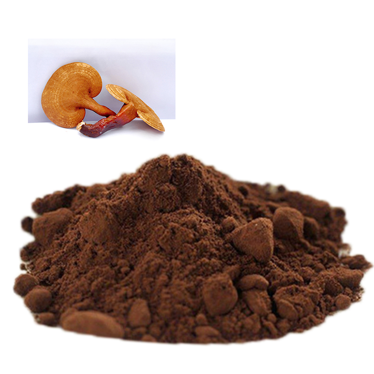 Organic Red Ganoderma Lucidum Extract Powder